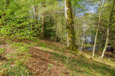 Alter Buchen-Baumbestand - SITULI: Idyllisches Traumgrundstück mit maximaler Privatsphäre in Grünwald