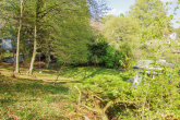 Blick vom Hang in den Garten - SITULI: Idyllisches Traumgrundstück mit maximaler Privatsphäre in Grünwald